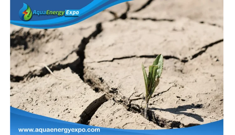 What Does Water Stress Mean?