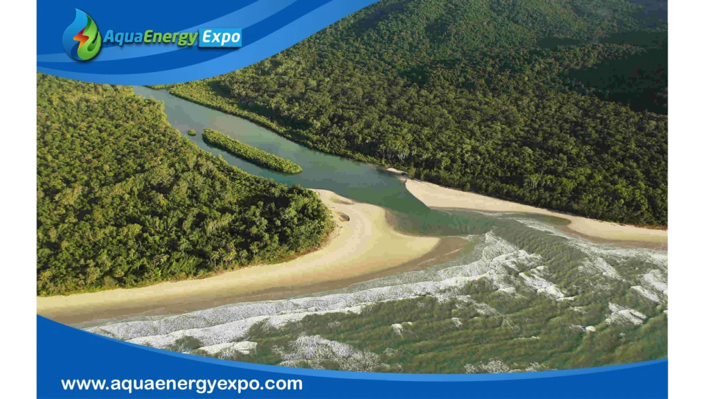 Understanding the River Mouth
