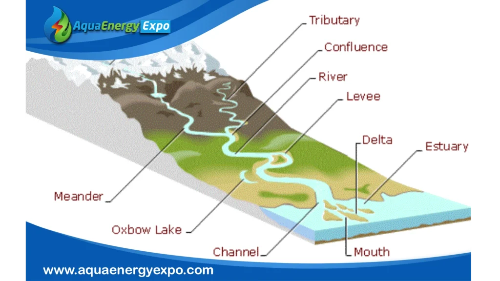 Understanding the River Mouth