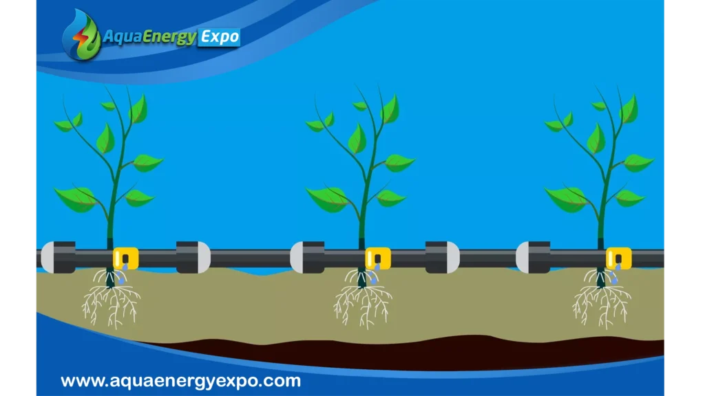 Drip Irrigation