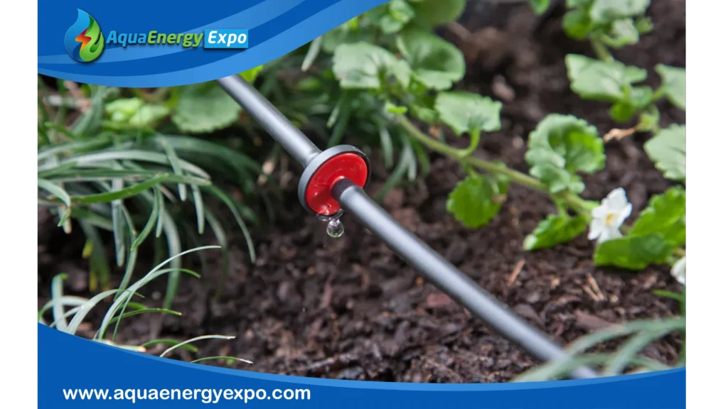 Drip Irrigation