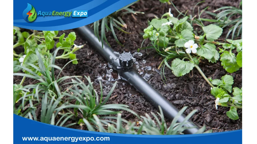 Drip Irrigation