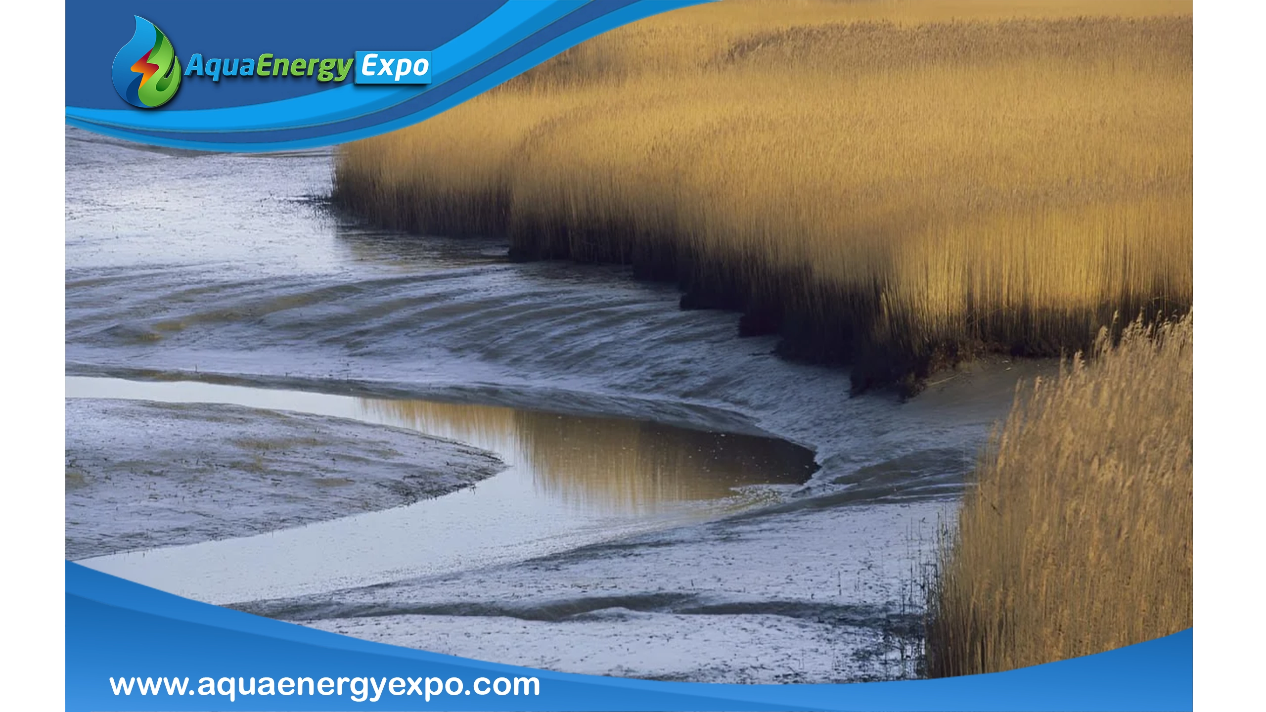 What are Marshes?