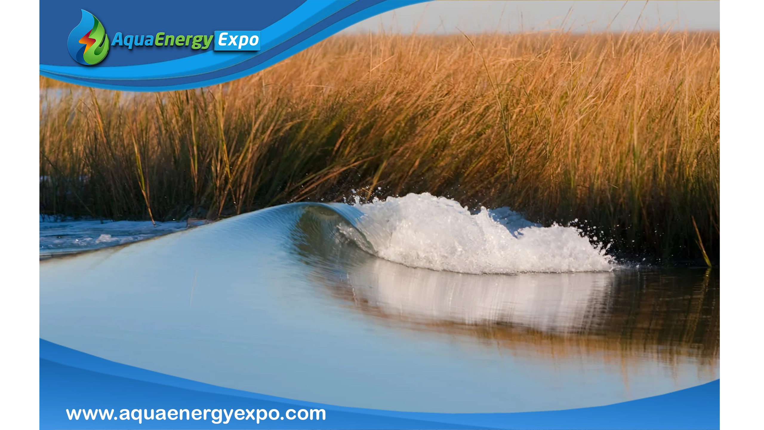 What are Marshes?