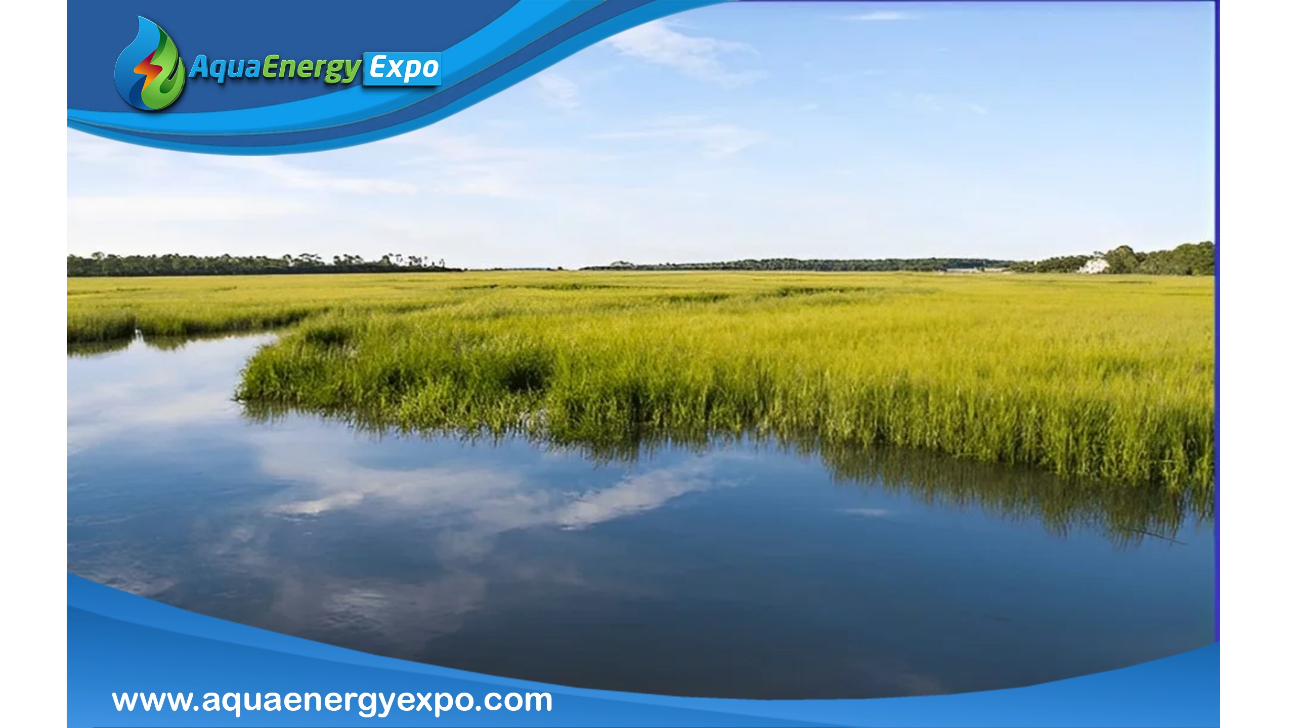 What are Marshes?