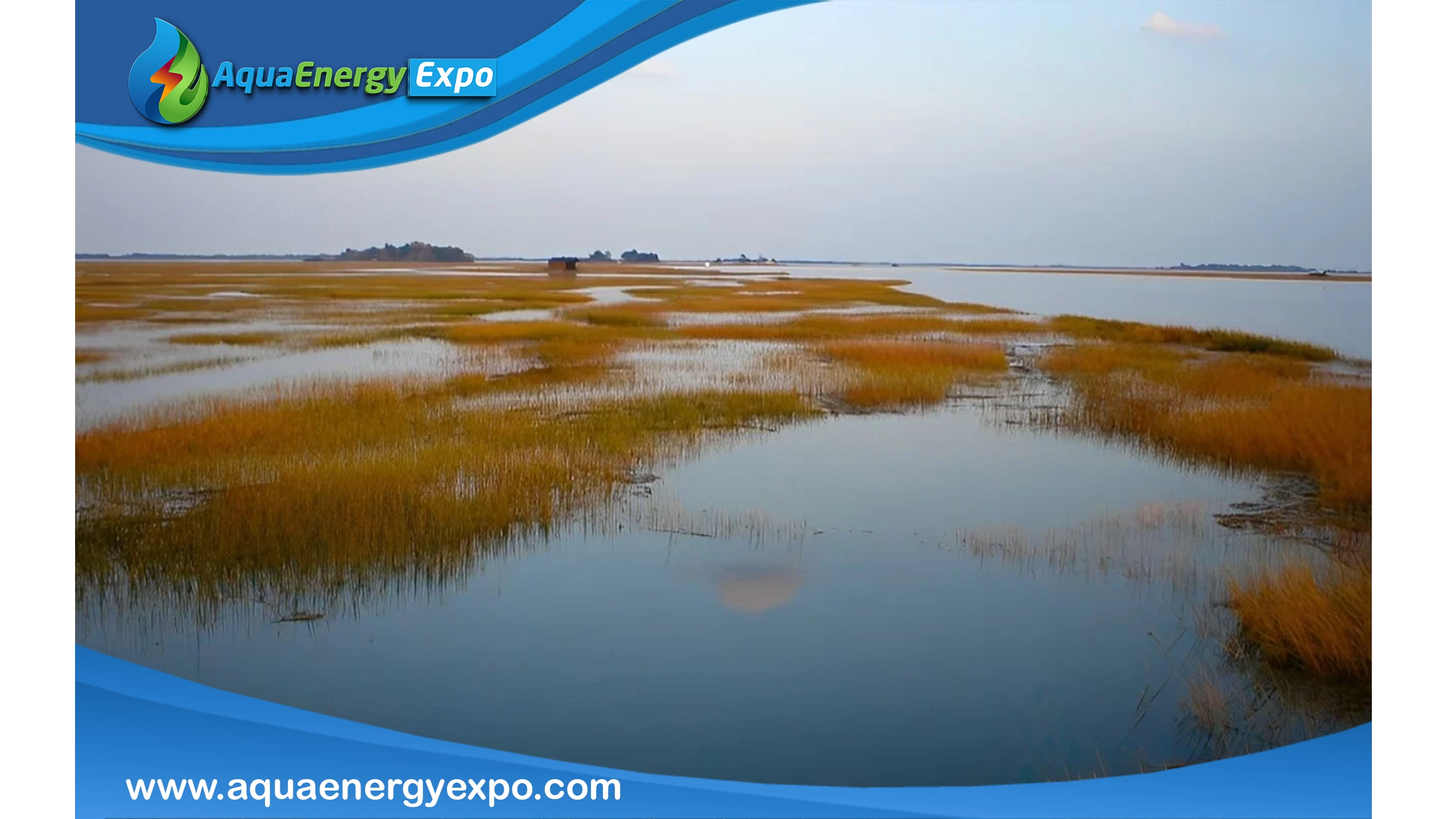 What are Marshes?