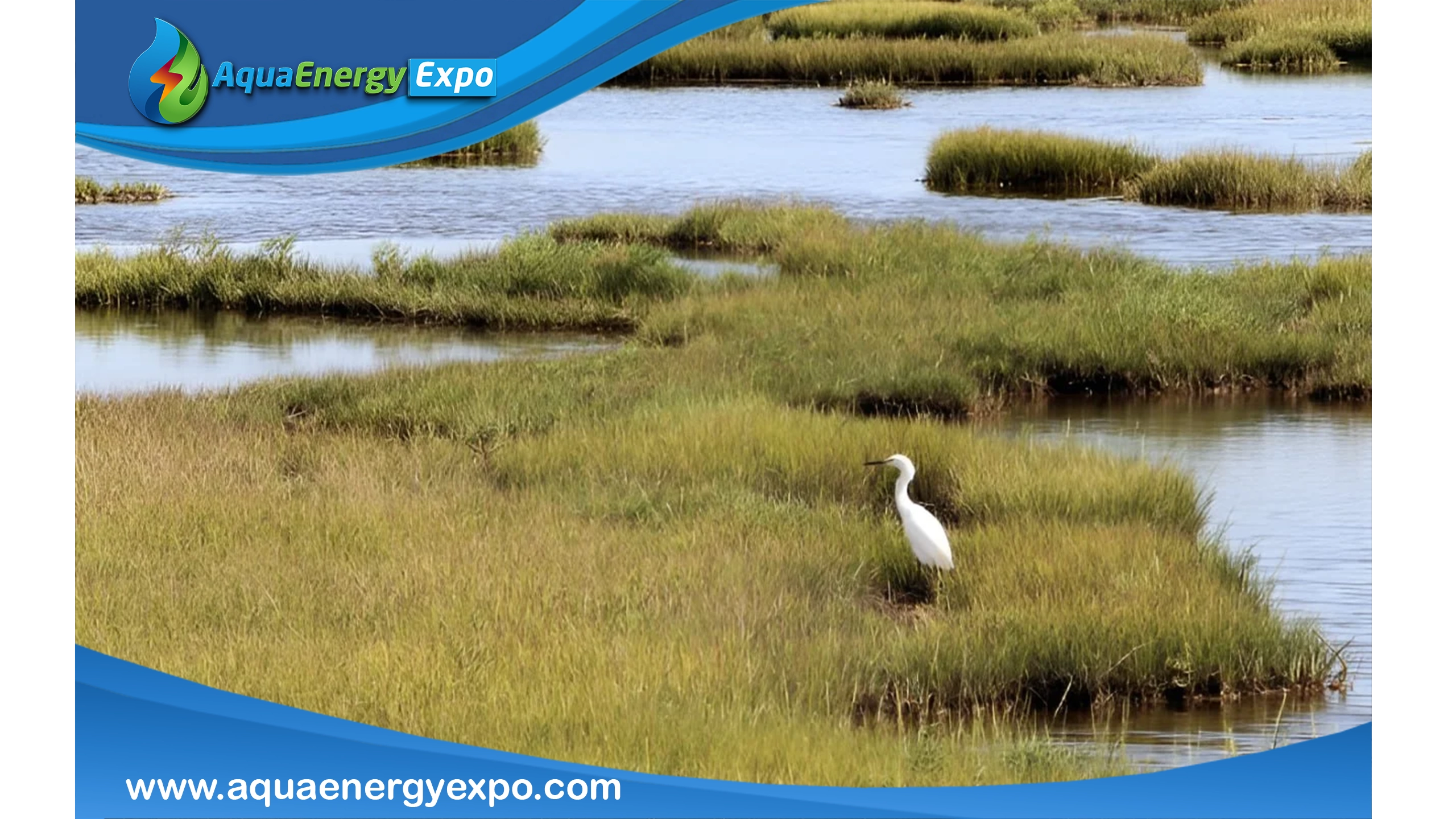What are Marshes?