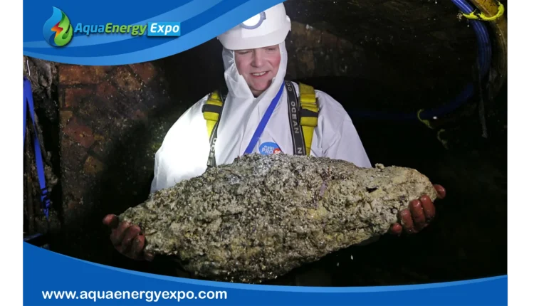 Fats, Oils, and Greases in Sewers: The Hidden Dangers and Prevention Strategies