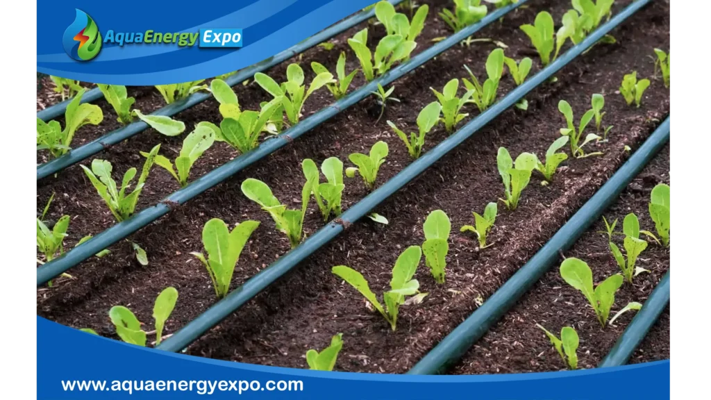 Drip Irrigation