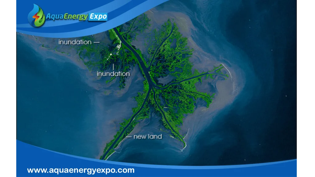Understanding the River Mouth