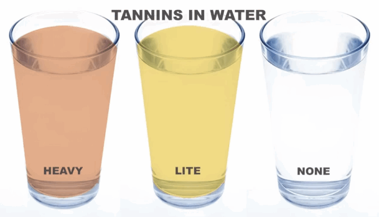 Tannins in Water: How to Identify, Remove, and Prevent Tannic Water Stains