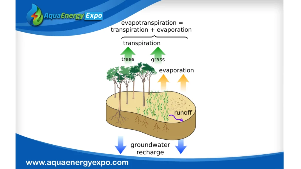 Groundwater Replenishment System: Leading the Way in Sustainable Water Solutions
