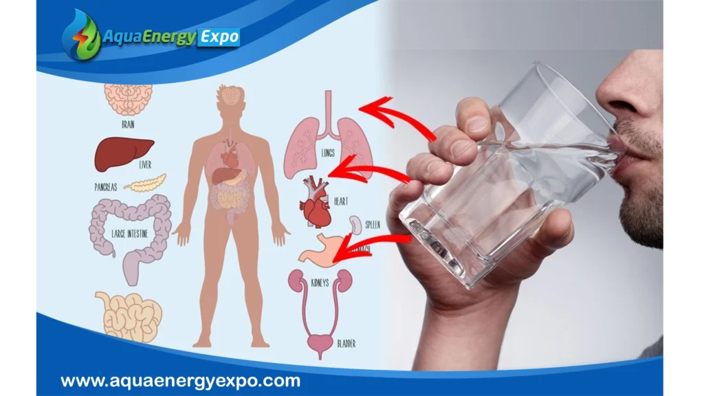 Manganese in Drinking Water