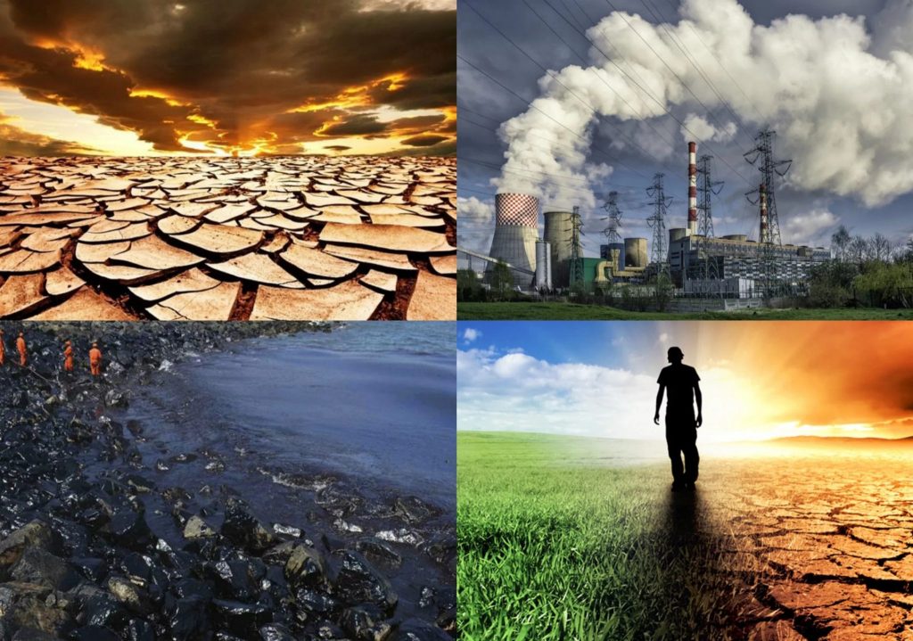 The role of biotechnology in addressing water scarcity and pollution challenges