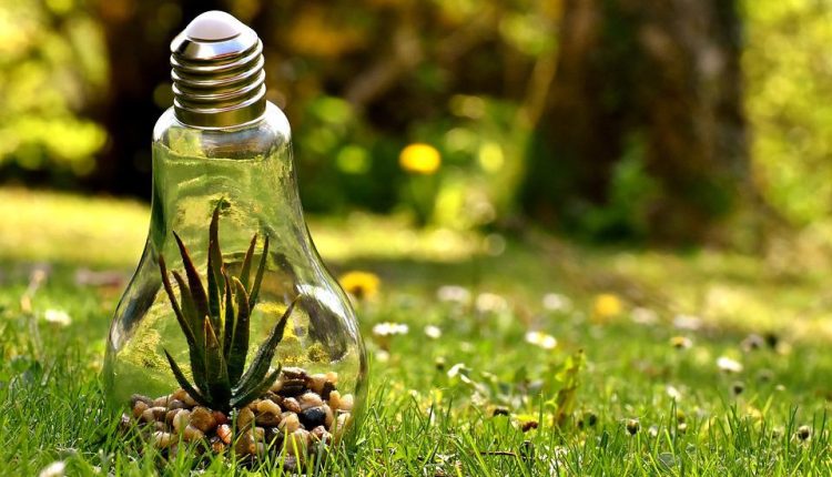 Accelerating zero carbon and zero pollution