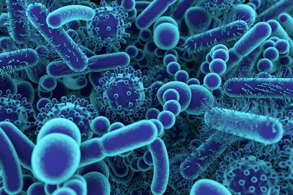 Pathogen Removal and Public Health Considerations