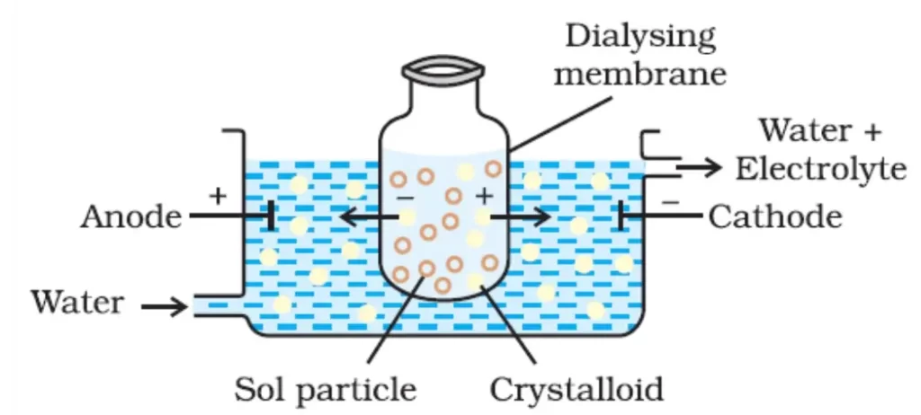 All you want to know about membrane filtration