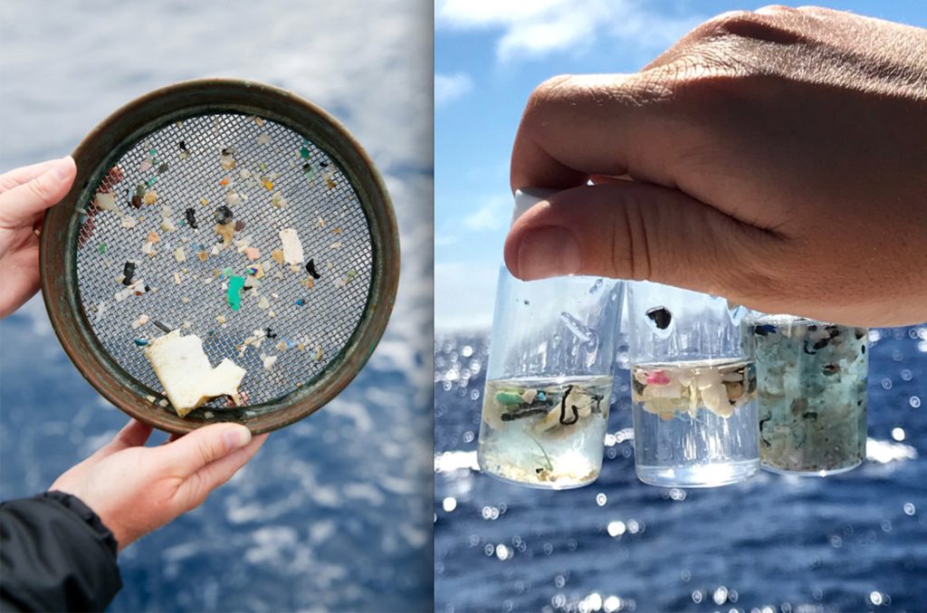 Exploring the Effects of Microplastics in Water Resources