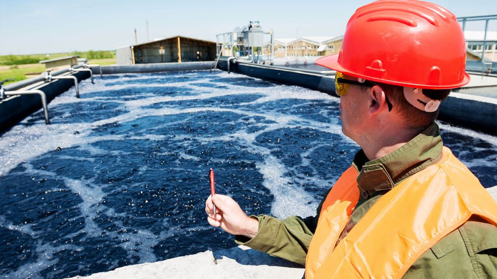 Evaluation of the performance of waste stabilization ponds