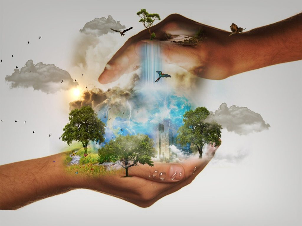 Shaping the future of the water sector