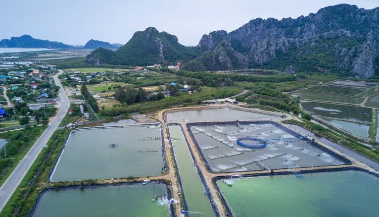 How to evaluate waste stabilization ponds?