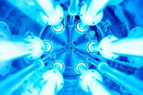 Exploring the Mechanism of UV Disinfection