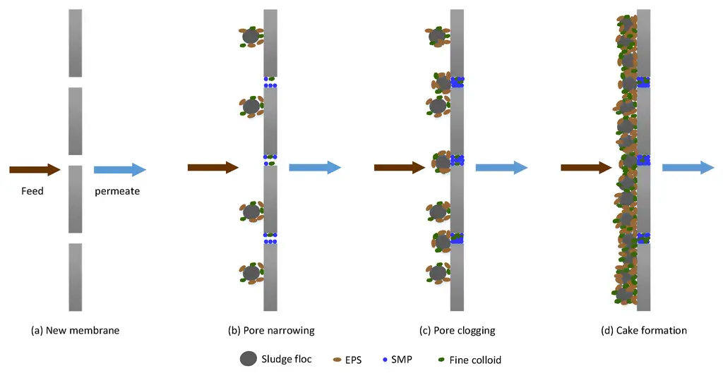 All you want to know about membrane filtration
