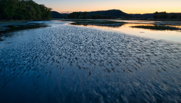 Wetland