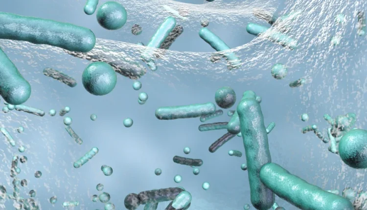 BIOFILMS IN THE WATER ENVIRONMENT: TRENDS AND CHALLENGES
