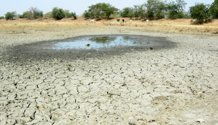 Large parts of world are drier than normal in 2021: WMO