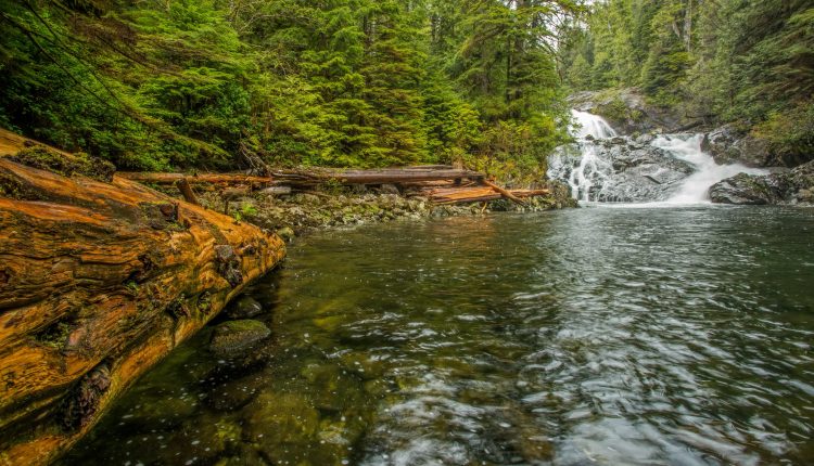 Predicting the future landscape of a river