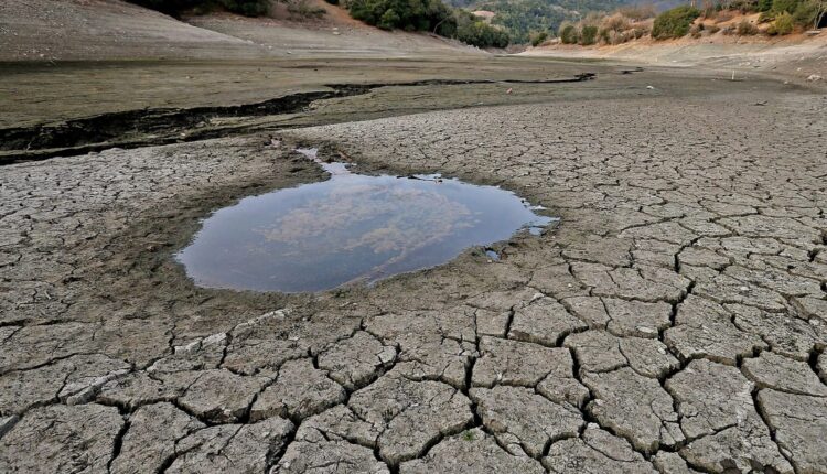Ecolab survey reveals high expectations for water conservation