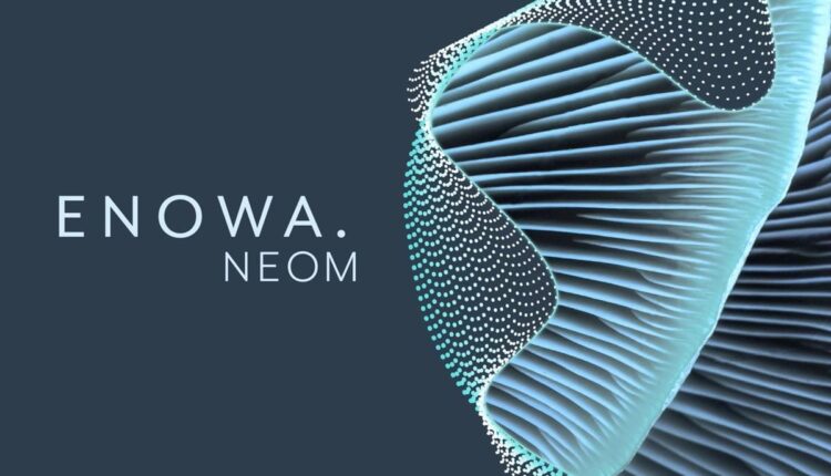 Worley to work on Framework Bridging Agreement with NEOM’s energy and water company