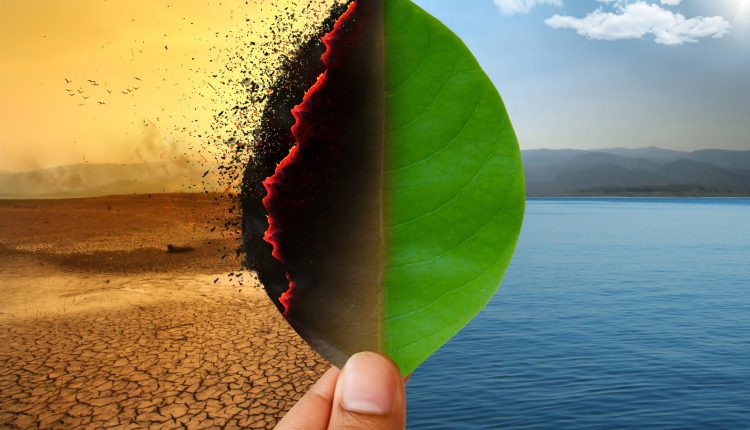 The Transition from Oil and Gas to Renewable Energy: A Strategic Approach
