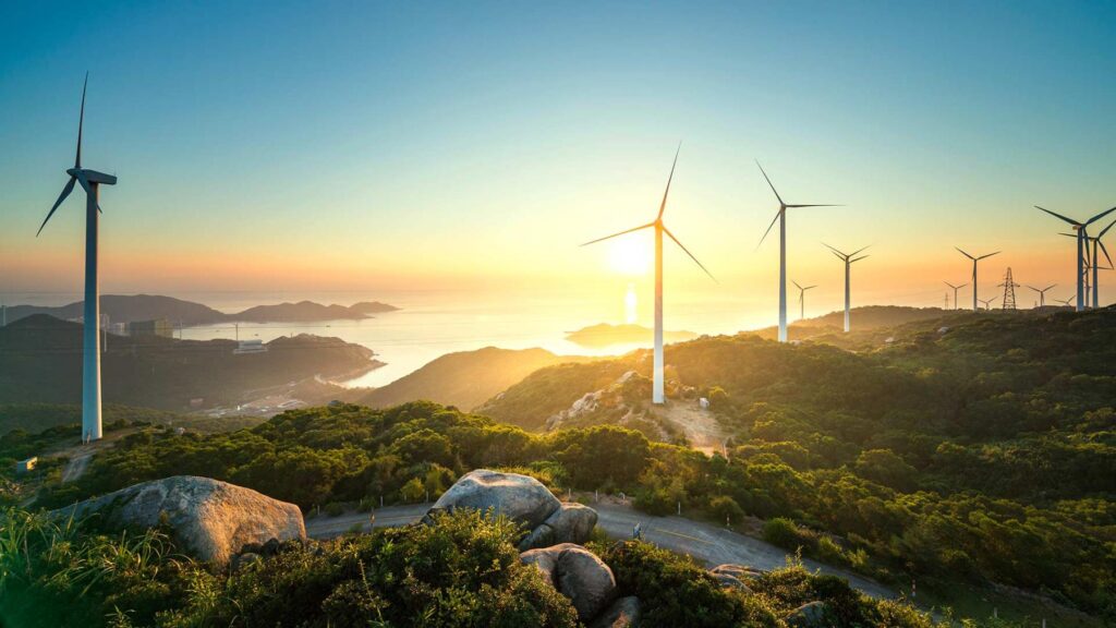 Understanding Decarbonization
