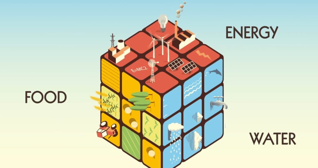 The Water-Energy Nexus: Interconnectedness and Interdependencies