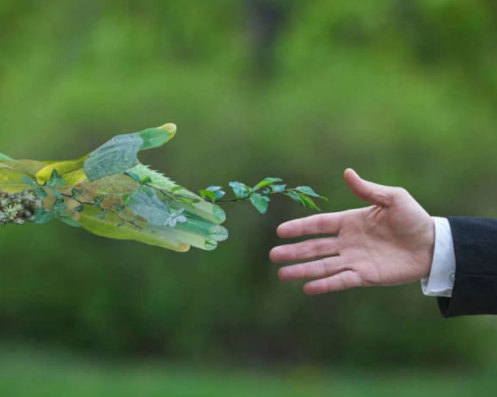 Promoting Sustainability and Environmental Stewardship