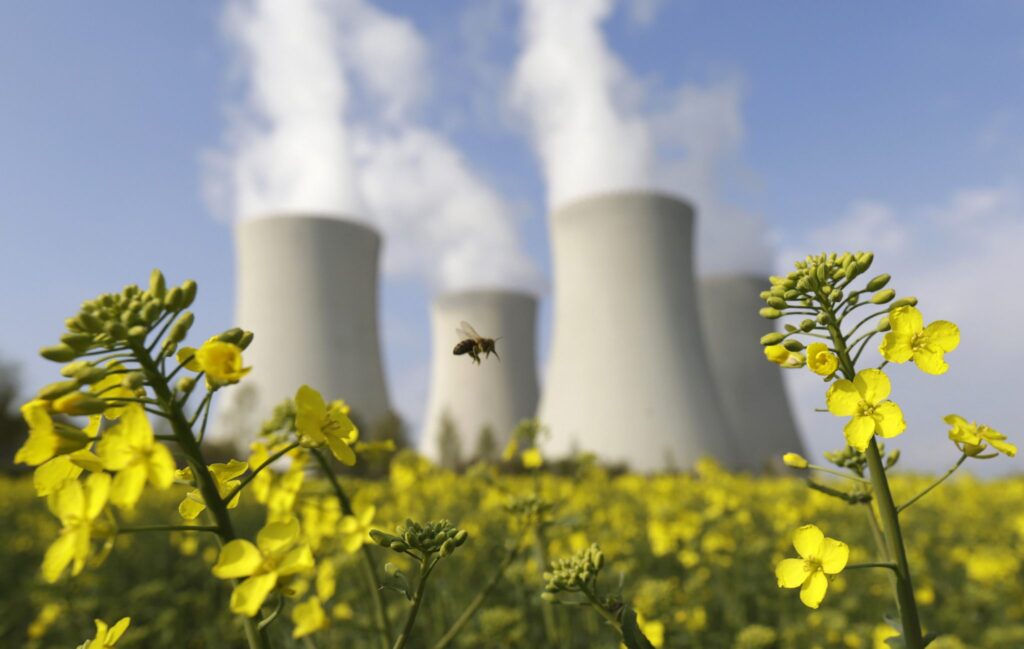 Energy Security and Nuclear Power