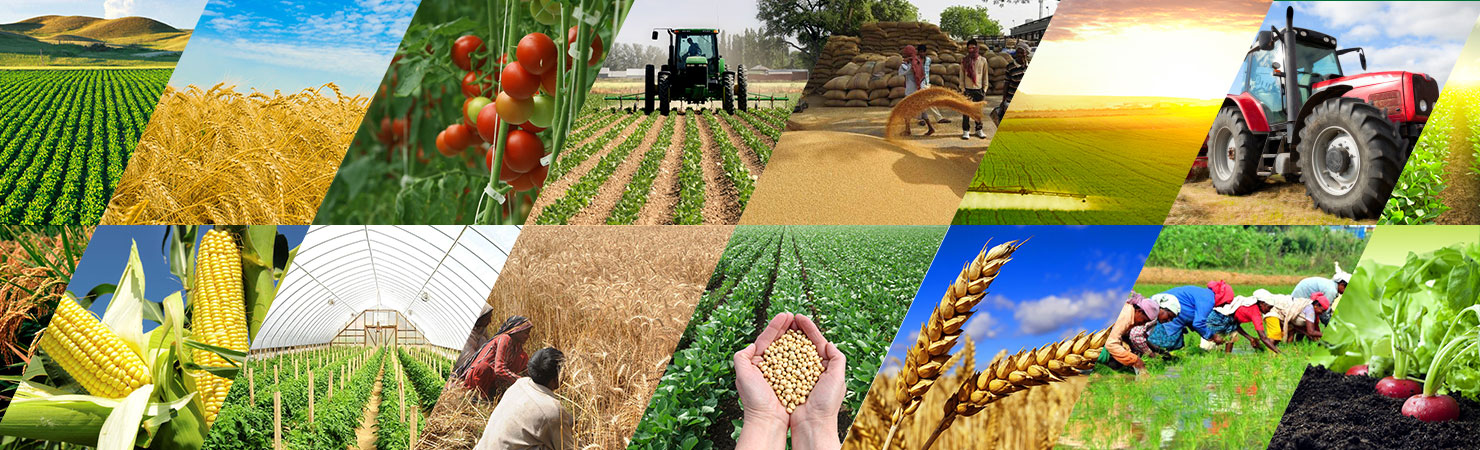 Agriculture and Food Processing Industry