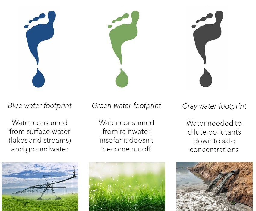 The Water Footprint of Energy: Exploring the Interdependence of Water and Energy