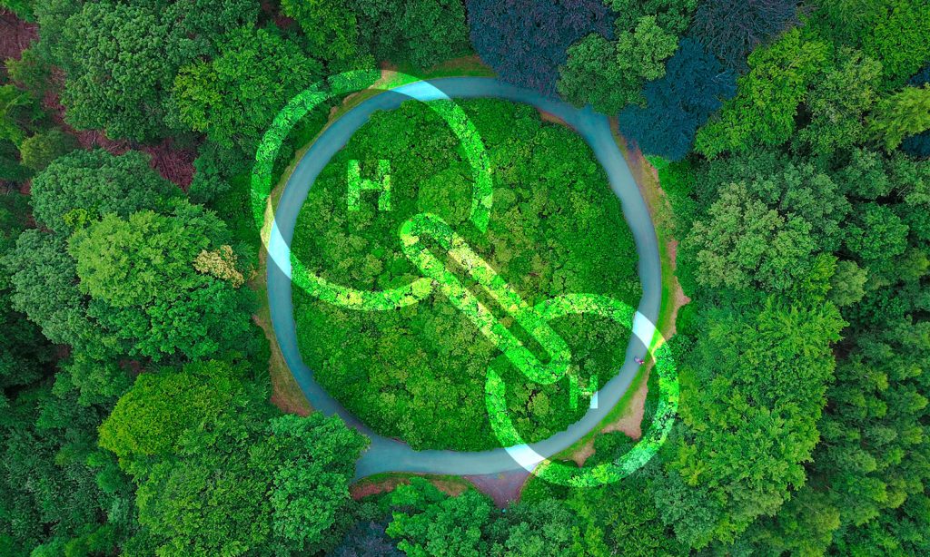 Path to Green Hydrogen: Key trends, challenges and solutions