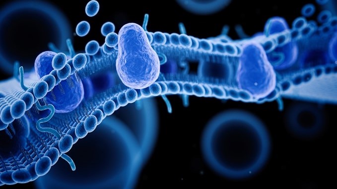 Aquaporin and Aston University's BIOMEM project secures €3m Pathfinder grant for innovative bio-membranes.