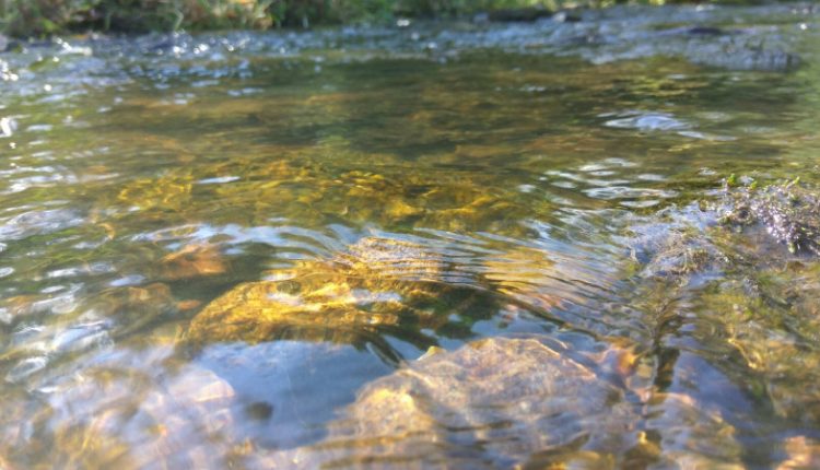acobs will support communities and utilities in a fresh on-call agreement with the US Water Alliance.