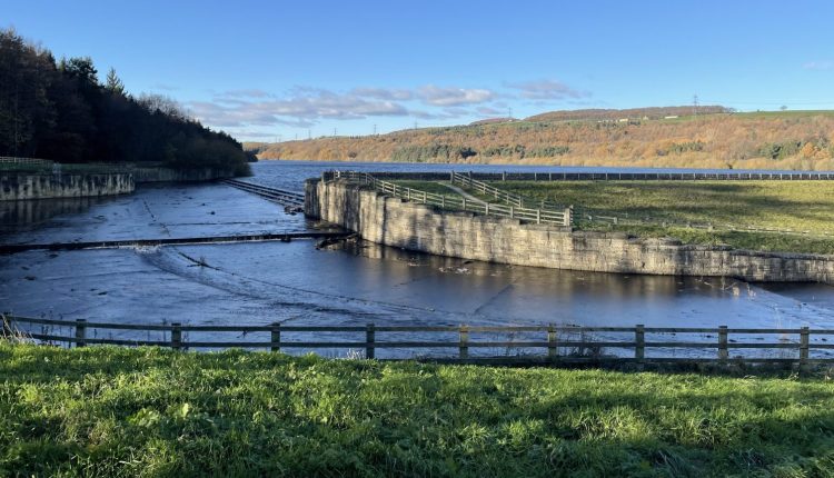 Yorkshire Water advances toward goal of planting one million trees by 2028