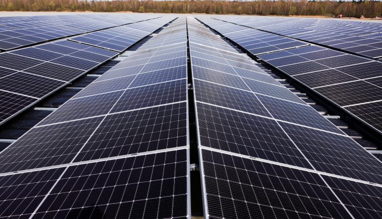 Sunview in talks with Uzbek authorities to build $1bn solar plant in Qashqadaryo