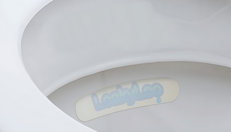 South West Water extends £150 offer to help customers fix leaky loos and save money.
