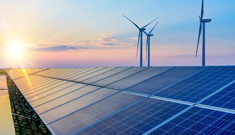 Queequeg Renewables and Biodivervse collaborate to enhance biodiversity in solar projects.