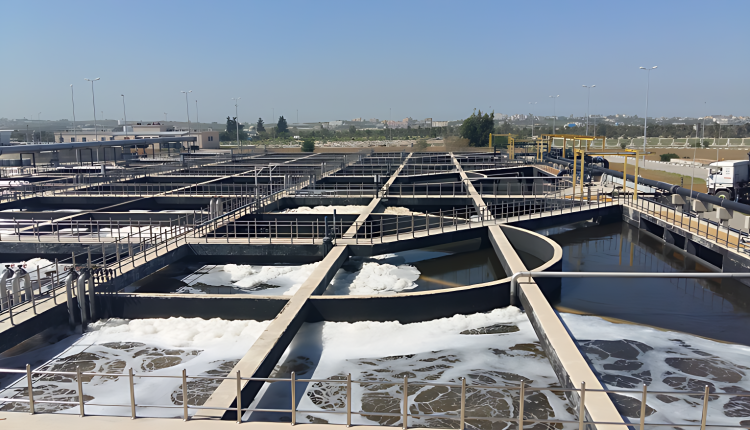 Saudi Arabia Unveils Ambitious Environmental and Water Infrastructure Initiatives.