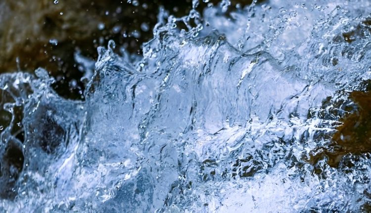 Meredith Emmerich Joins Xylem Inc. as SVP and President, Applied Water.