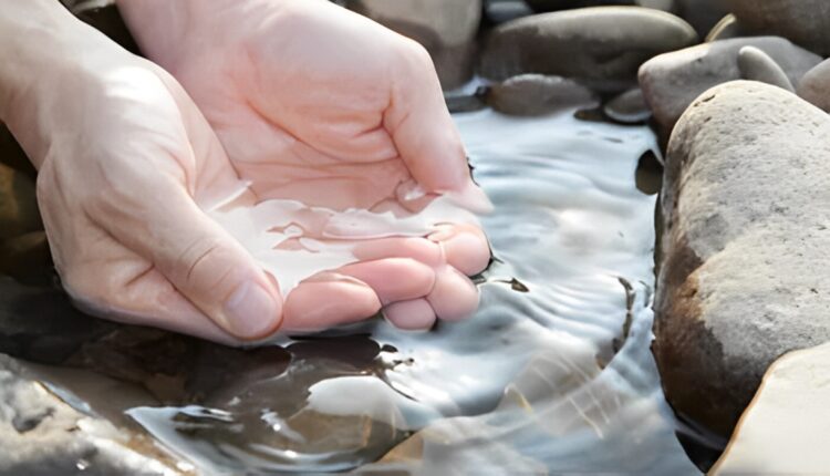 Scientists develop an all-in-one catalyst for solar-driven water remediation